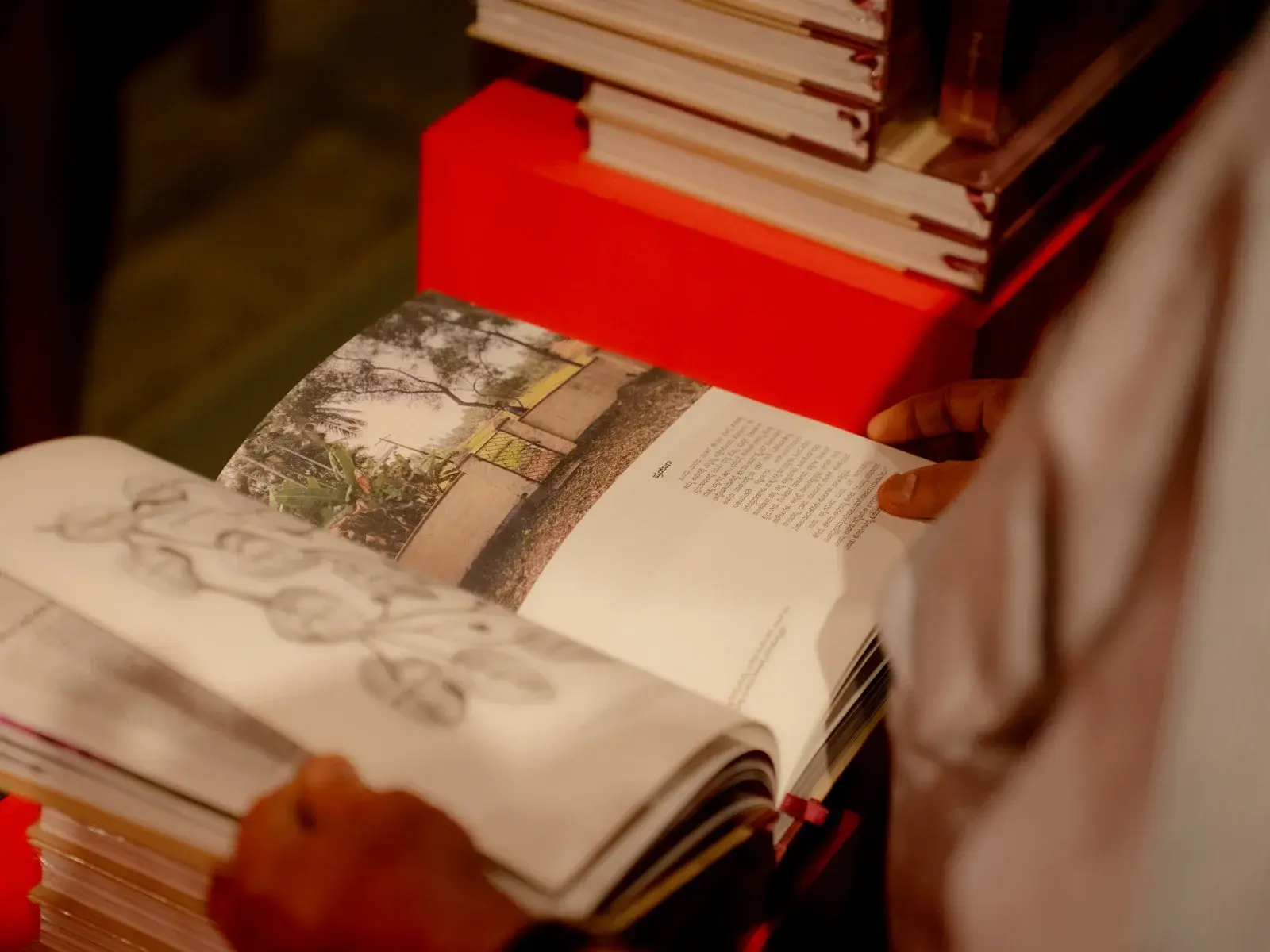 Browsing through illustrated pages of the Kannada edition